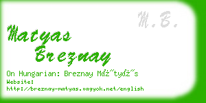 matyas breznay business card